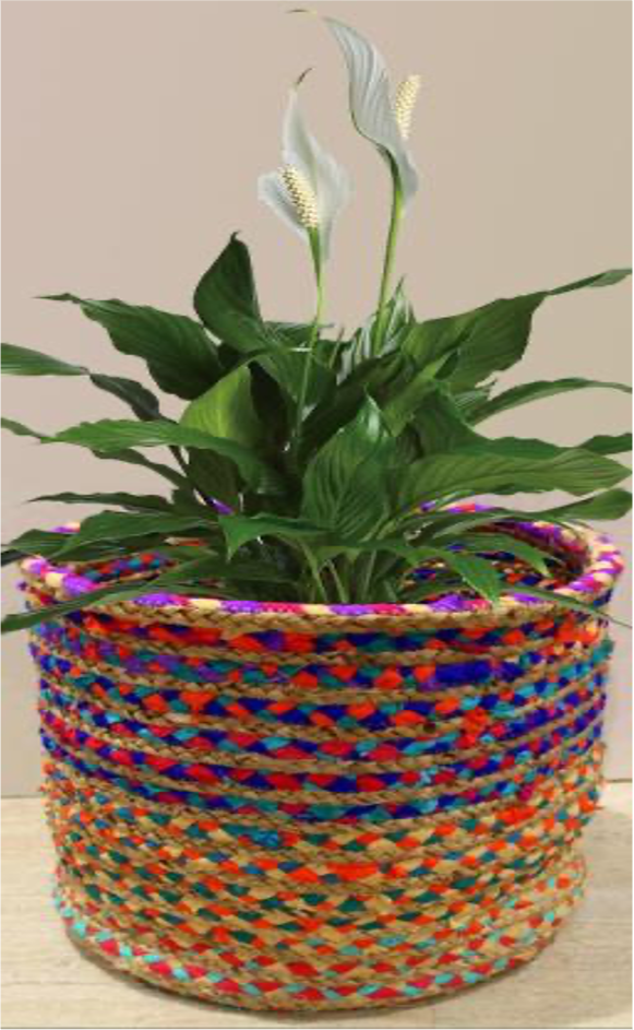 designersterracotta.com Product Picture