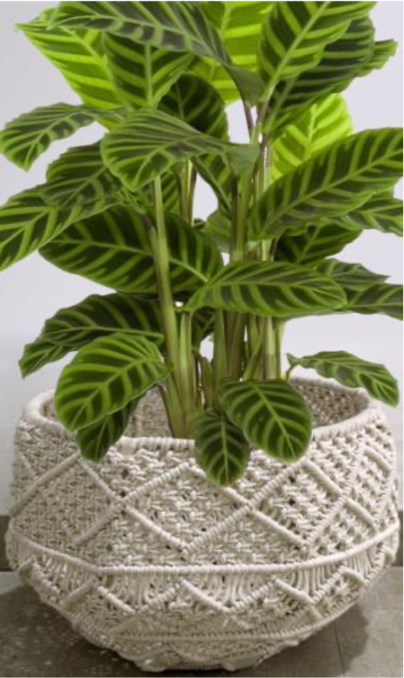 designersterracotta.com Product Picture