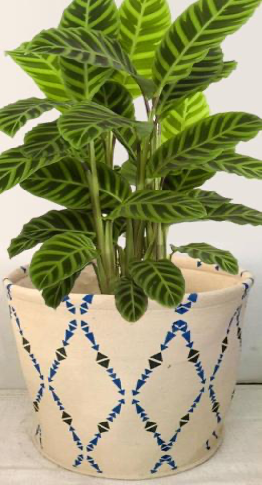 designersterracotta.com Product Picture